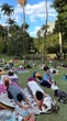 Dia Internacional do Yoga: guia para começar a praticar