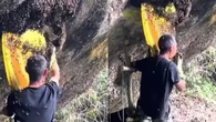 VÍDEO: chinês coleta mel sem roupa de proteção e comendo abelhas