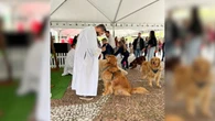 PUCPR promove bênção de pets com drive-thru nesta sexta-feira