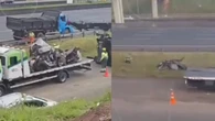 Batida de Porsche mata motorista e é o 2º caso no fim de semana