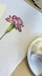 Café com cor: aulas de aquarela transformam cafeterias de Brasília em refúgios criativos
