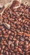 Rastreabilidade se torna ferramenta estratégica para produtoras rurais replicarem boas práticas no agronegócio
