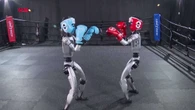 Robôs saem no soco em ringue na China; assista