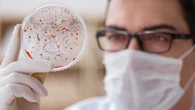 USP estuda "mosquitos modificados" para conter malária