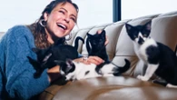 Paolla Oliveira revela adoção de 18 pets: "Precisavam de cuidado"