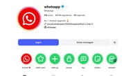 WhatsApp vermelho: entenda a mudança de cores na logo