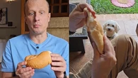 Cães podem comer pão? Veja os perigos