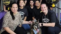 Sheik, cão de 16 anos, enfim encontra um lar após longa espera