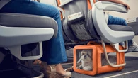 Companhia aérea pode recusar a viagem  do pet na cabine do avião?