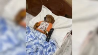 Cachorro é flagrado assistindo TV na cama com ventilador ligado