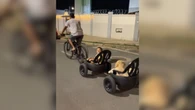 Criança e cão curtem passeio de bike com assentos feitos de pneus