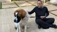 Ana Maria Braga lamenta perda de cachorro: "Descanse em paz"