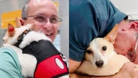 Pai que não gostava de cachorros agora não larga o pet da filha