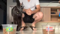 Gato vidente prevê destino do Brasil contra Noruega na Copa