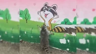 Guaxinim se empolga ao ver pintura no muro e vídeo viraliza