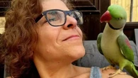 Periquito desaparecido reaparece a 160 km de casa
