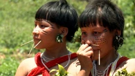 Terra Yanomami: União tem 30 dias para apresentar plano contra garimpo