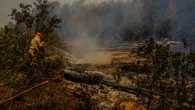Incêndio volta a atingir Parque Encontro das Águas no Pantanal