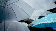 Chuva se espalha pelo país nesta sexta-feira (15); veja previsão