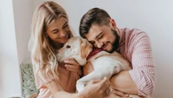 Nova resolução do CFMV redefine relação entre humanos e animais
