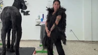 Cruella? Jovem viraliza após fazer casaco com pelos de cão
