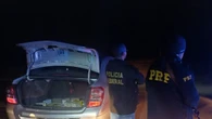 90 aves silvestres são apreendidas em ação policial na BR-040