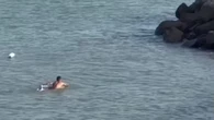 Surfista salva cachorro à deriva e se torna herói do dia