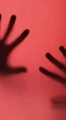 Violência doméstica cresce em 2024: Brasil registra aumento nas tentativas de homicídio contra mulheres