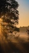 Tudo sobre o Solstício de Inverno