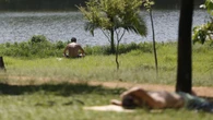Altas temperaturas atingem SP e outras cidades nos próximos dias