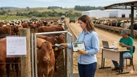 Resposta sobre veto da UE à carne brasileira deve ser imediata