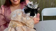 Com vestido e bolo: gata faz 15 anos e ganha festa de debutante