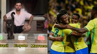 "Gato vidente" prevê empate na estreia do Brasil na Copa do Mundo