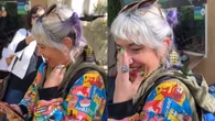 Beija-flor confunde cabelo de mulher com pétala e encanta a web