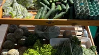 Feira Tucuju da Agricultura Familiar chega à 3ª edição no Amapá