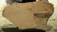 Descoberta de fósseis sugere comportamento de animais extintos