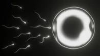 Fertilidade exige planejamento e atenção à saúde do casal