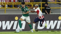 Palmeiras x Junior Barranquilla: saiba escalações e onde assistir