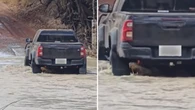 Carro atravessa rio arrastando crocodilo; assista