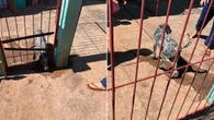 Cachorro é resgatado após ficar preso em grade de portão
