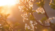 Primeira madrugada da primavera tem frio intenso e geada no Sul