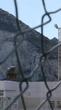 Dez anos do Brexit: cerca entre Gibraltar e Espanha é removida