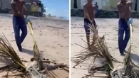 Ossada humana é encontrada em praia da Bahia