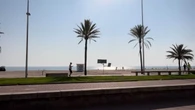 Verão espanhol: cidades praianas alertam para o aumento de virose