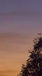 Lua Nova e montanha-russa emocional nas previsões da semana de 22 a 28/06