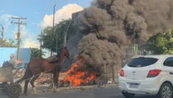Protesto de carroceiros fecha via e provoca trânsito em Recife