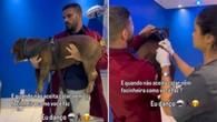 Pitbull só aceita vacina após dançar no colo do veterinário