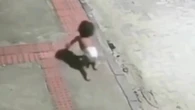VÍDEO: bebê engatinha sozinho em rua de Vila Velha (ES)