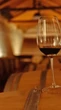 Adriana Nasser: Brasil conquista 145 medalhas no Decanter World Wine Awards 2025