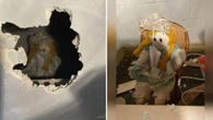 Boneca de pano com bilhete é encontrada dentro de parede de casa